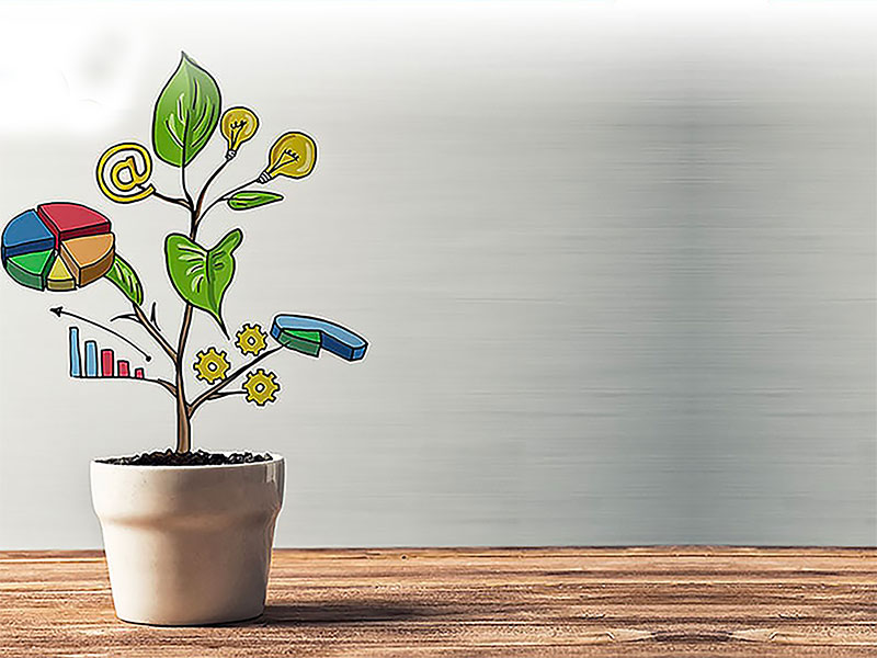 ECONOMIA E GESTIONE CONTABILE DEGLI ORDINI PROFESSIONALI